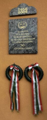 571137894_1123604346651731_6049005147321910498_n